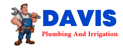 Trusted plumber in HENSEL